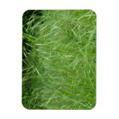 Magnet Flexible Bromus tectorum (Vertical)