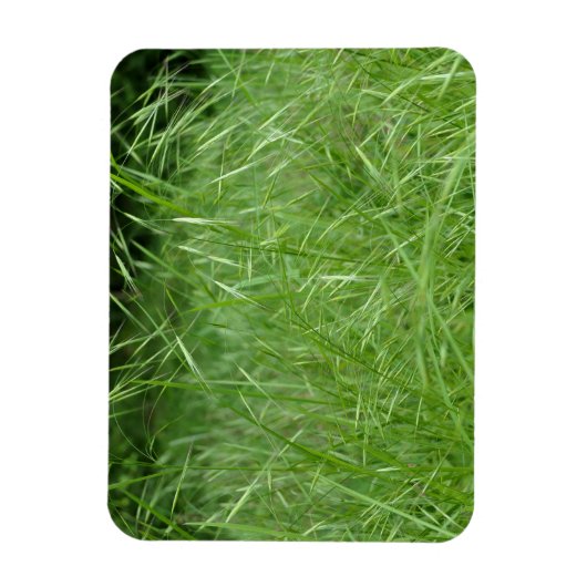 Magnet Flexible Bromus tectorum (Vertical)