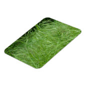 Magnet Flexible Bromus tectorum (Côté Gauche)