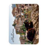 Magnet Flexible Bronzage de chats au mur - Valldemossa, Majorque (Vertical)