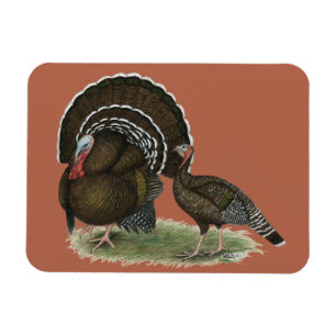 Magnet Flexible Bronze standard de Turkey