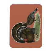 Magnet Flexible Bronze standard de Turkey (Vertical)