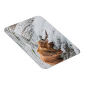 Magnet Flexible Brown Bear Catches Red Salmon (Côté Droit)