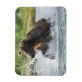 Magnet Flexible Brown Bear chasing salmon in river (Vertical)
