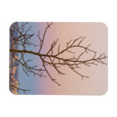 Magnet Flexible Bryce Canyon, Utah. Bar tree in front of sunset (Horizontal)