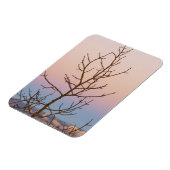 Magnet Flexible Bryce Canyon, Utah. Bar tree in front of sunset (Côté Gauche)