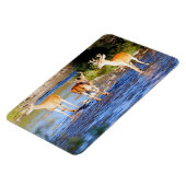 Magnet Flexible Buck Deer à queue blanche (Côté Gauche)