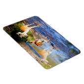 Magnet Flexible Buck Deer à queue blanche (Côté Droit)