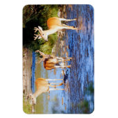 Magnet Flexible Buck Deer à queue blanche (Vertical)