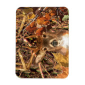 Magnet Flexible Buck in Camo White Tail Deer (Vertical)
