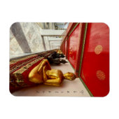 Magnet Flexible buddhas wat pho thailand (Horizontal)