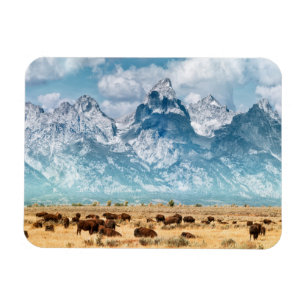 Magnet Flexible Buffalo au-dessous des montagnes grandes de Teton