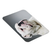 Magnet Flexible Bull (Côté Droit)