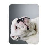 Magnet Flexible Bull (Vertical)