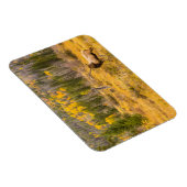 Magnet Flexible Bull Elk | Rocky Mountain National Park Colorado (Côté Droit)