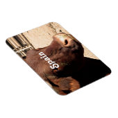 Magnet Flexible Bull espagnole (Côté Droit)