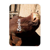 Magnet Flexible Bull espagnole (Vertical)