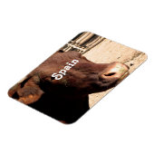 Magnet Flexible Bull espagnole (Côté Gauche)