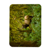 Magnet Flexible Bull Roosevelt Elk (Vertical)