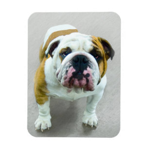 Magnet Flexible Bulldog Painting - Cute Original Dog Art