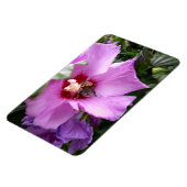 Magnet Flexible Bumblebebe sur la fleur d'Hibiscus (Côté Gauche)