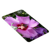 Magnet Flexible Bumblebebe sur la fleur d'Hibiscus (Côté Droit)