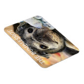 Magnet Flexible Bumblesnot aimant : ronfle (Côté Droit)