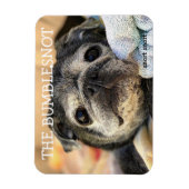 Magnet Flexible Bumblesnot aimant : ronfle (Vertical)