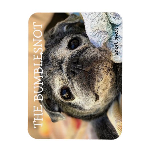 Magnet Flexible Bumblesnot aimant : ronfle (Vertical)