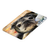 Magnet Flexible Bumblesnot aimant : ronfle (Côté Gauche)