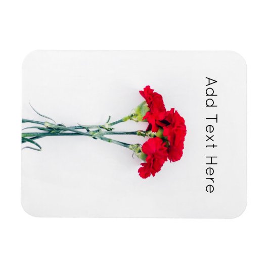 Magnet Flexible Bundle of Red Carnation Flowers (Horizontal)