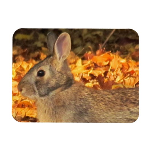 Magnet Flexible Bunny d'automne (Horizontal)