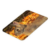 Magnet Flexible Bunny d'automne (Côté Gauche)