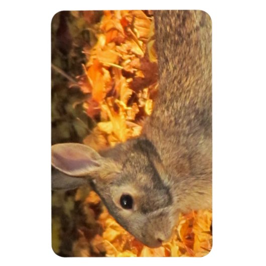 Magnet Flexible Bunny d'automne (Vertical)