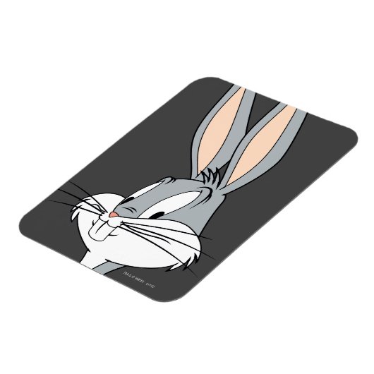 Magnet Flexible BUNNY™| Mains sur les hanches (Côté Gauche)