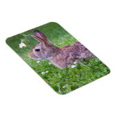 Magnet Flexible Bunny Rabbit in Grass Animal Photography (Côté Droit)