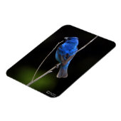 Magnet Flexible Bunting Indigo (Côté Gauche)