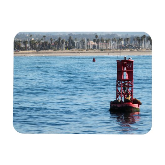 Magnet Flexible Buoy Sea Lions (Horizontal)