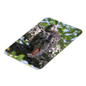 Magnet Flexible Buse à queue rouge (Côté Gauche)