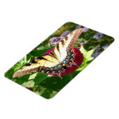 Magnet Flexible Butterfly on Zinnia (Côté Gauche)