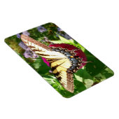 Magnet Flexible Butterfly on Zinnia (Côté Droit)