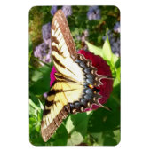 Magnet Flexible Butterfly on Zinnia (Vertical)