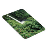 Magnet Flexible CA, Costa Rica. Cascade de La Paz et impatients (Côté Droit)