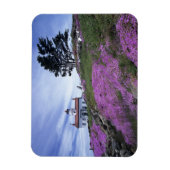 Magnet Flexible CA, Crescent City, phare de Battery Point avec (Vertical)