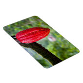 Magnet Flexible cabosse rouge (Côté Droit)