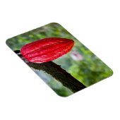 Magnet Flexible cabosse rouge (Côté Droit)