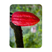 Magnet Flexible cabosse rouge (Vertical)