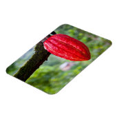 Magnet Flexible cabosse rouge (Côté Gauche)