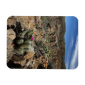 Magnet Flexible Cactus (Horizontal)