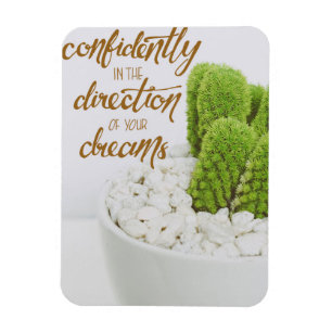 Magnet Flexible Cactus, Allez Confidentiellement